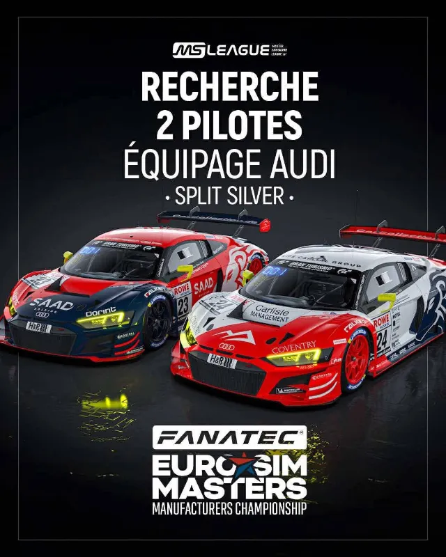 🇫🇷 📢 Recrutement Pilotes – Team Audi (Split Silver)