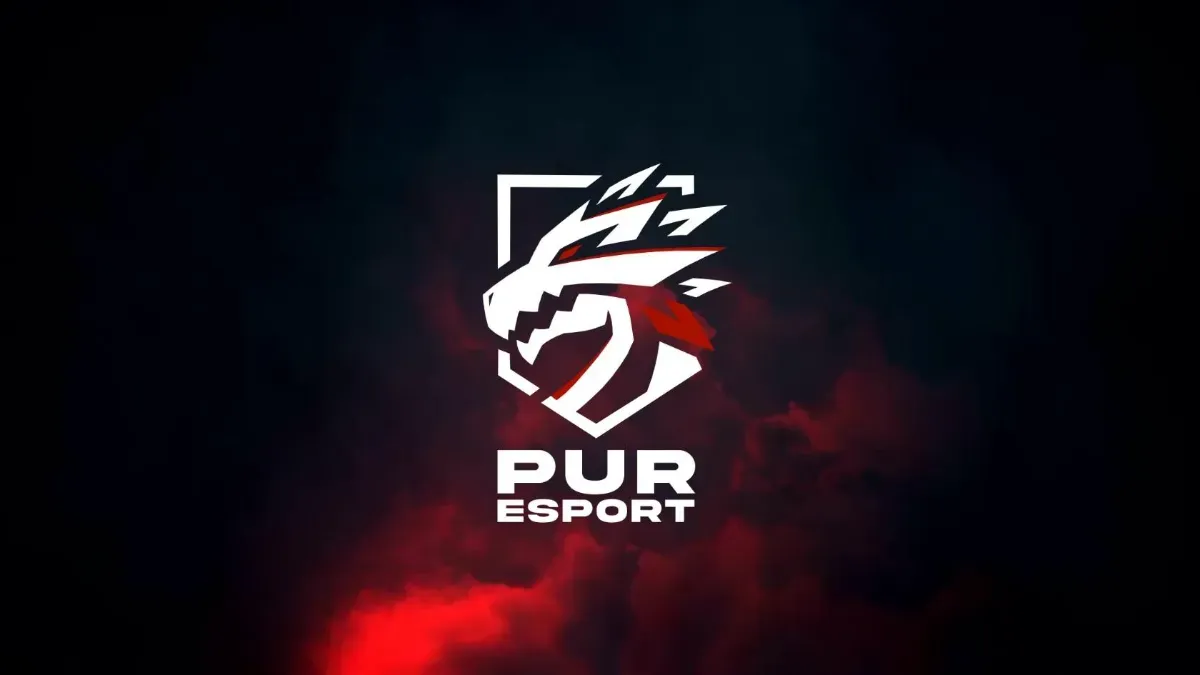 Team Pur Esport 
